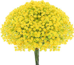 Gypsophila Yellow Flower Seeds for Planting – Heirloom, Non-GMO, High Germination Organic Garden Seeds (100pcs)