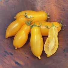 Yellow Banana Tomato flower seeds for planting - Heirloom & Non-GMO Garden Seeds