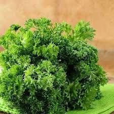 Green Crispum herb seeds for planting - Heirloom &amp; Non-GMO Garden Seeds