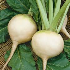White Beetroot Vegetable Seeds for Planting – Heirloom & Non-GMO Garden Seeds