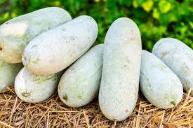 Benincasa Vegetable Seeds for Planting – Heirloom & Non-GMO Garden Seeds