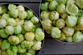 Green Tomatillo Vegetable Seeds for Planting – Heirloom & Non-GMO Garden Seeds