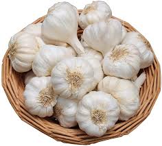 White Garlic Vegetable Seeds for Planting – Heirloom & Non-GMO Garden Seeds