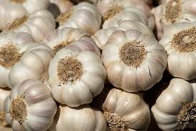 Beet Seeds for Planting – Heirloom, Non-GMO, High Germination Organic Garden Seeds for Nutritious, Earthy Root Harvests