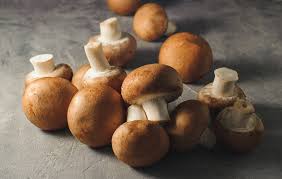 Brown Mushroom Vegetable Seeds for Planting – Heirloom & Non-GMO Garden Seeds