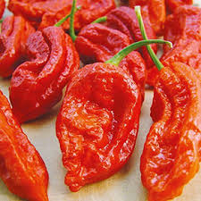 ROSEMERC Red Hot Chilli Vegetable Seeds for Planting – Heirloom & Non-GMO Garden Seeds