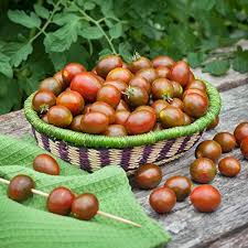 Chocolate Mix Tomato Vegetable Seeds for Planting – Heirloom &amp; Non-GMO Garden Seeds