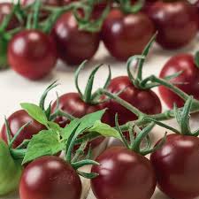 Chocolate Mix Tomato Vegetable Seeds for Planting – Heirloom &amp; Non-GMO Garden Seeds