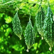 Pinkdose Vegetable Seeds for Planting – Heirloom & Non-GMO Garden Seeds