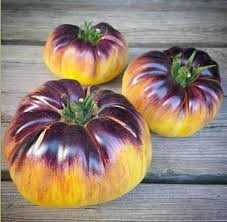 Yellow Black Tomato Vegetable Seeds for Planting – Heirloom & Non-GMO Garden Seeds