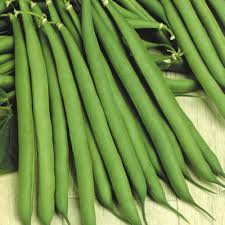 Dwarf French Beans Vegetable Seeds for Planting – Heirloom & Non-GMO Garden Seeds