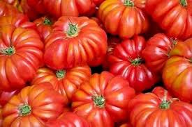 Red Beefsteak Tomato Vegetable Seeds for Planting – Heirloom & Non-GMO Garden Seeds