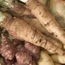 Cream Mammoth Sandwich Vegetable Seeds for Planting – Heirloom & Non-GMO Garden Seeds