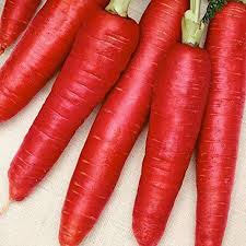 Red Carrot Vegetable Seeds for Planting – Heirloom & Non-GMO Garden Seeds