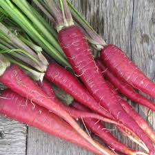 Red Carrot Vegetable Seeds for Planting – Heirloom & Non-GMO Garden Seeds
