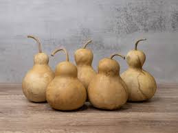 Brown Bottle Gourd Vegetable Seeds for Planting – Heirloom & Non-GMO Garden Seeds