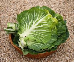 Couve Kale Tree Vegetable Seeds for Planting – Heirloom & Non-GMO Garden Seeds