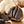 Black Garlic Seeds for Planting Black – Heirloom, Non-GMO, Bold Flavor – Organic Garden Seeds