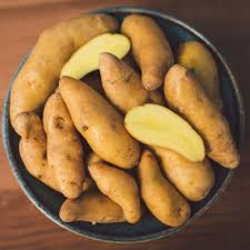 Banana Fingerling Potato Vegetable Seeds for Planting – Heirloom Non-GMO Creamy Tubers –  High Germination Organic Garden Seeds