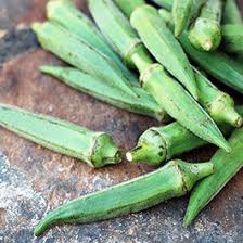 Okra Vegetable Seeds for Planting – Heirloom Non-GMO, High Germination Organic Garden Seeds with Lush Green Pods
