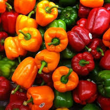 Fresno Pepper Seeds for Planting – Heirloom Non-GMO Mild & Fruity Red Chili – Organic Garden Seeds