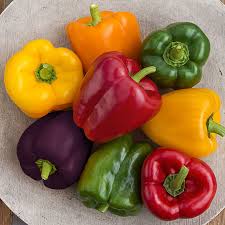 Mixed Bell Pepper Seeds for Planting – Heirloom, Non-GMO, High Germination Organic Garden Seeds