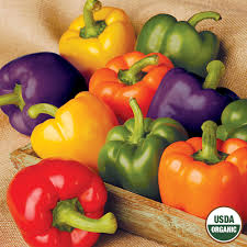 Fresno Pepper Seeds for Planting – Heirloom Non-GMO Mild & Fruity Red Chili – Organic Garden Seeds