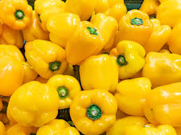 Light Yellow Pepper Seeds for Planting – Heirloom, Non-GMO, High Germination Organic Sweet Pepper Seeds