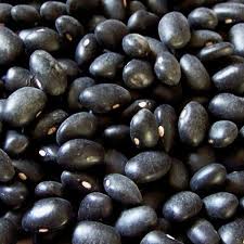 Turtle Bean Seeds for Planting – Heirloom, Non-GMO, Compact Black Organic Garden Seeds – High Germination Culinary Beans