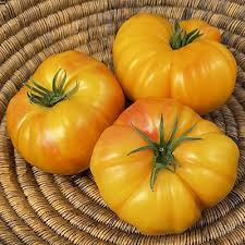 Pineapple Tomato Seeds for Planting – Heirloom, Non-GMO, High Germination