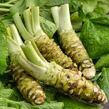 Horseradish Seeds for Planting – Heirloom & Non-GMO, High Germination Organic Garden Seeds