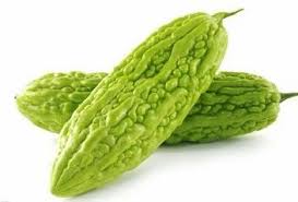 Green Bitter Gourd Seeds for Planting – Heirloom, Non-GMO, High Germination