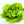 Winter Imperial Lettuce Seeds for Planting – Heirloom, Non-GMO, Cold-Hardy Organic Garden Seeds with High Germination