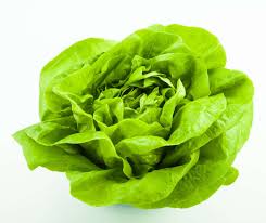 Lettuce Heirloom Seeds for Planting – Non-GMO, Tender Organic Garden Greens – High Germination, Perfect for Salads