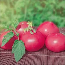 Pink Tomato Vegetable Seeds for Planting – Heirloom, Non-GMO, High Germination Organic Garden Seeds