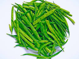 Fresh Bean Seeds for Planting – Heirloom, Non-GMO, Tender Organic Garden Seeds – High Germination for Seasonal Harvests