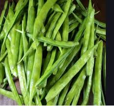 Fresh Bean Seeds for Planting – Heirloom, Non-GMO, Tender Organic Garden Seeds – High Germination for Seasonal Harvests