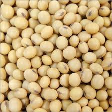Brown Edible Soybean Seeds for Planting – Heirloom, Non-GMO, High Germination