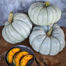 Grey Pumpkin Vegetable Seeds for Planting – Heirloom, Non-GMO, High Germination, Organic Garden Seeds