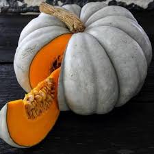 Grey Pumpkin Vegetable Seeds for Planting – Heirloom, Non-GMO, High Germination, Organic Garden Seeds