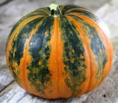 Lady Godiva Pumpkin Seeds for Planting – Heirloom, Non-GMO, High Germination, Organic Garden Seeds for Edible or Ornamental Use