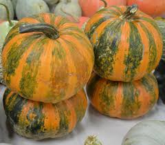 Lady Godiva Pumpkin Seeds for Planting – Heirloom, Non-GMO, High Germination, Organic Garden Seeds for Edible or Ornamental Use