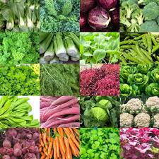 Varieties of Vegetable Seeds for Planting – Heirloom, Non-GMO, High Germination, Organic Garden Starter Mix