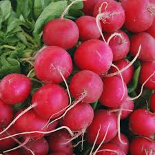 Red Turnip Seeds for Planting – Heirloom, Non-GMO, High Germination, Organic Garden Seeds for Pickling & Soups