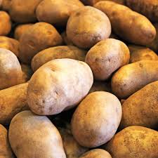 Brown Potato Seeds for Planting – Heirloom, Non-GMO, High Germination, Organic Garden Seeds for Homegrown Starchy Roots