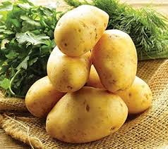 Brown Potato Seeds for Planting – Heirloom, Non-GMO, High Germination, Organic Garden Seeds for Homegrown Starchy Roots