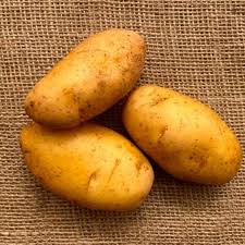 Brown Potato Seeds for Planting – Heirloom, Non-GMO, High Germination, Organic Garden Seeds for Homegrown Starchy Roots