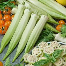 Blondy Okra Seeds for Planting – Heirloom, Non-GMO, High Germination, Organic Garden Seeds for Tender Pods & Southern Cooking