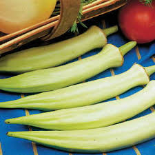 Blondy Okra Seeds for Planting – Heirloom, Non-GMO, High Germination, Organic Garden Seeds for Tender Pods & Southern Cooking