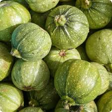 Green Ronde de Seeds for Planting – Heirloom, Non-GMO, High Germination, Organic Garden Seeds, Compact Round Zucchini